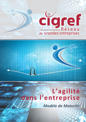 CIGREF-agilite-dans-lentreprise-2015