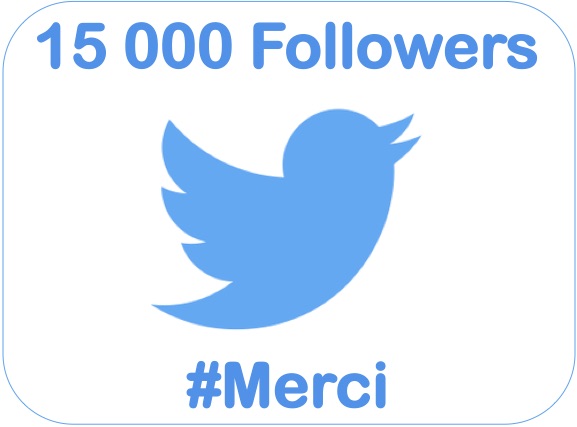15000-followers-twitter-sebastien-bourguignon