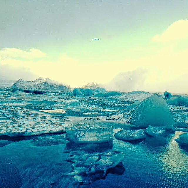 Islande 2015 - 13 - Jokulsarlon 075