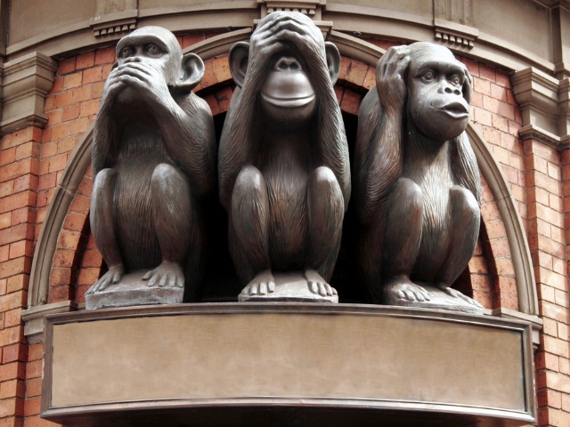 2014-23-July-see-no-evil-monkeys
