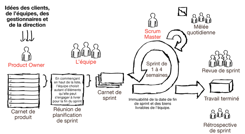 scrum-web