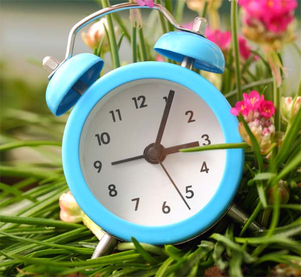 Classic alarm clock with pink flowers and grass