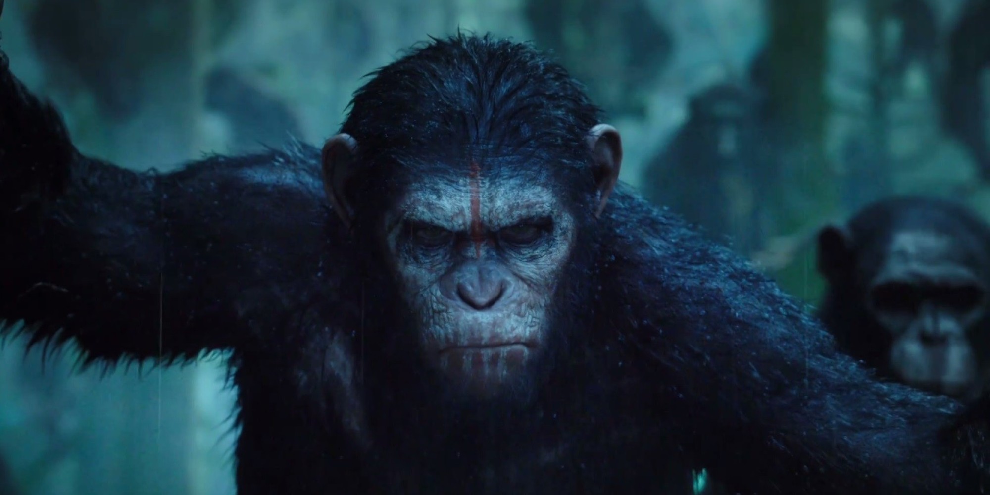 o-PLANETE-DES-SINGES-facebook