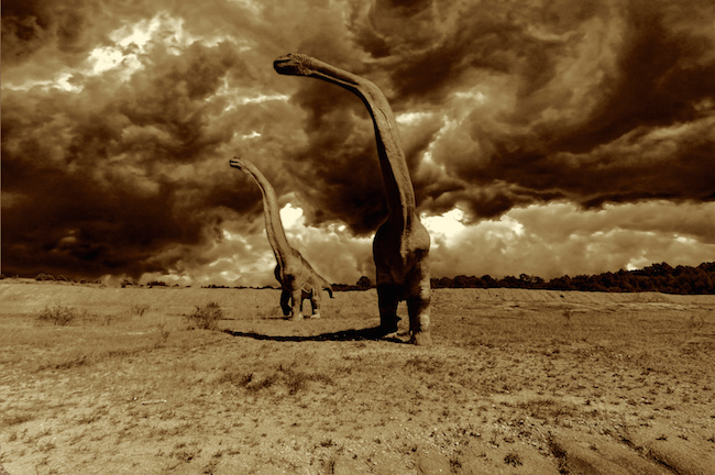 dinosaure-grand-groupe