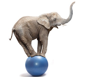 10-raisons-d-etre-agile-agilaction