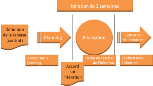 fig1-fr-small