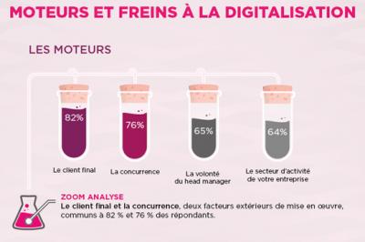 2593188-infographie-les-moteurs-et-les-freins-a-la-digitalisation-des-entreprises