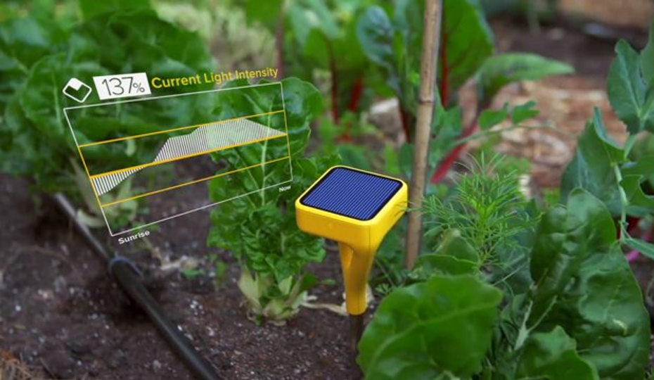 Mattermark-IoT
